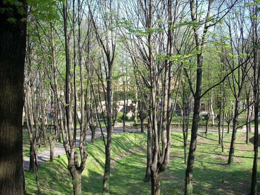 Mombello Psychiatric Hospital, Limbiate, Milan - 13.jpg